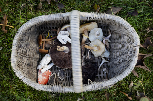 Experience cover image