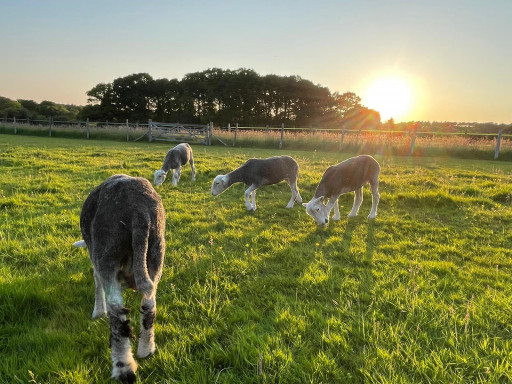 Experience cover image