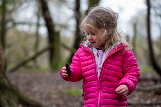 Experience cover image