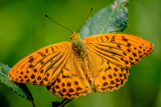 Experience cover image