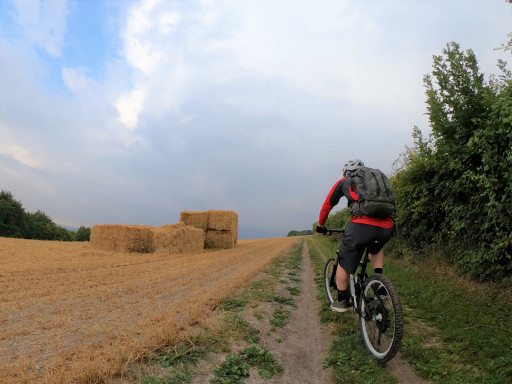 Experience cover image