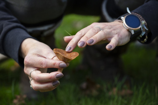 Experience cover image