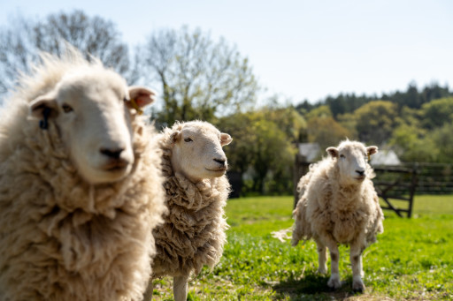 Experience cover image