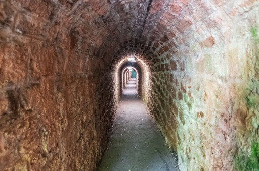 Experience cover image